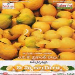 Nimmakaayalu Movie poster