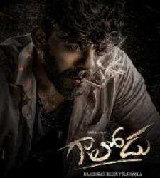 Gaalodu movie poster