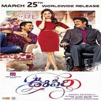 Oopiri movie poster