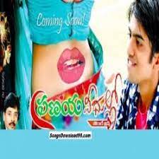 Pranaya Veedhullo Poster