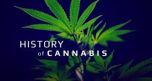 The cannabis plant: a brief history of cannabis and the basics of using Cannabis.
