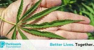 CBD: A Patient's Guide to Medicinal Cannabis