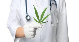 Medicinal use of cannabis based products and cannabinoids