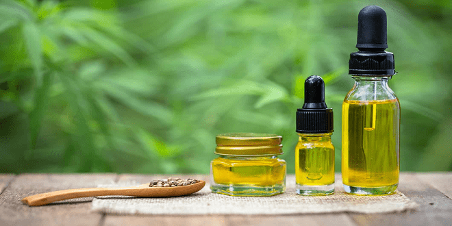 CBD for Pets The Newest Health Trend